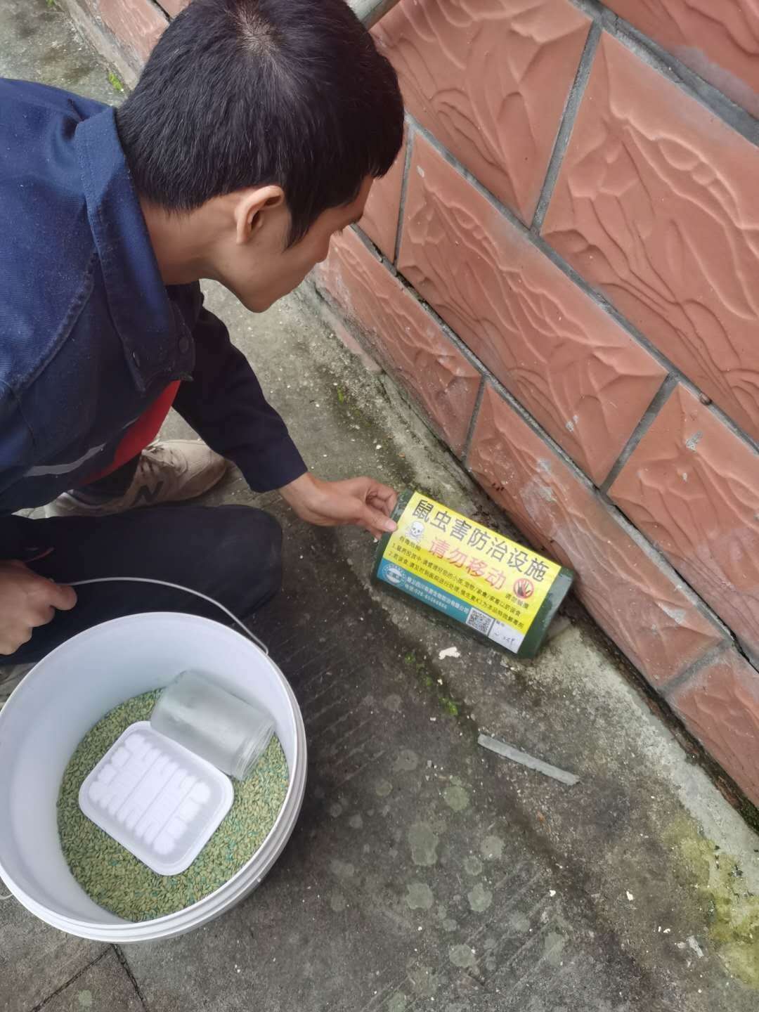 巴中除四害